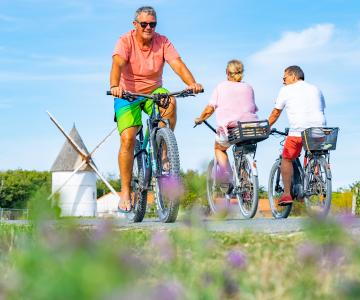 Vélo La Brée Les bains