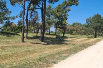 Aire de pique nique - Route du Douhet