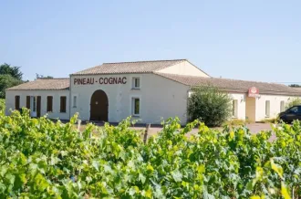 Visite du vignoble Maxime Pinard_La Brée-les-Bains