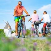 Vélo La Brée Les bains