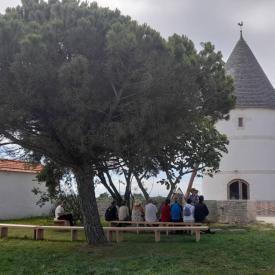 Visites