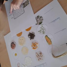 atelier 7-12
