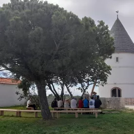 Visites