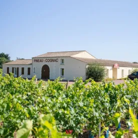 Visite du vignoble Maxime Pinard_La Brée-les-Bains