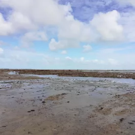 Vivre avec les aléas climatiques sur l'île d'Oléron 