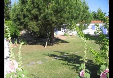 jardin2