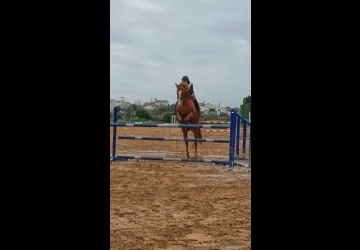Centre saut