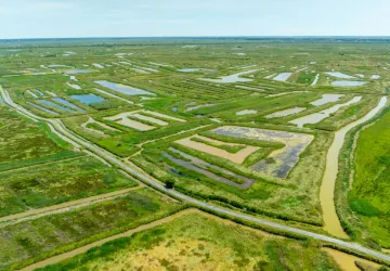 Circuit pédestre: Au détour des marais, du côté de Hiers_Marennes-Hiers-Brouage