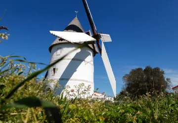 Journées du patrimoine de pays et des moulins_La Brée-les-Bains