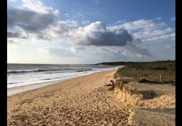 La Cagouille 2