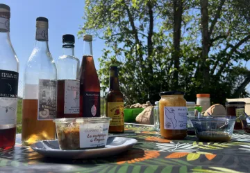 Visite dégustation_La Brée-les-Bains