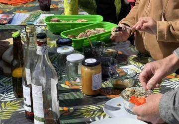 Visite dégustation_La Brée-les-Bains