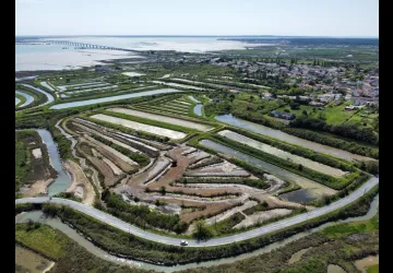 Sel océan Ile d'Oléron_Le Château-d'Oléron